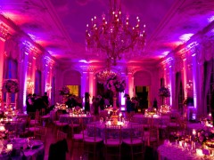 Lilac Charm - Image 4