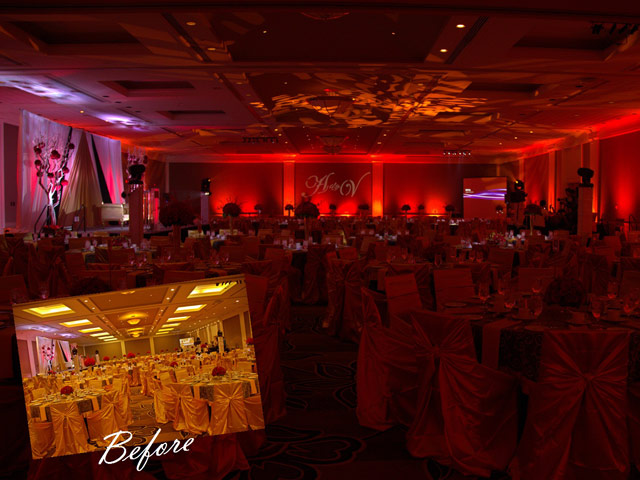 Golden Elegance - Image 4