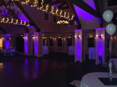 Nightclub Extravaganza - Image 5