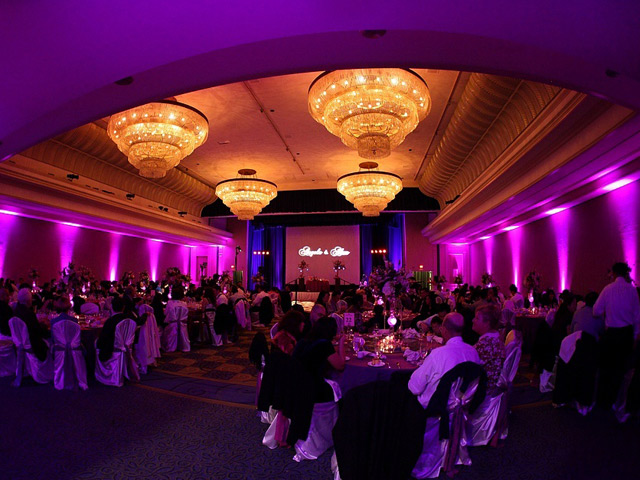 Lilac Charm - Image 2