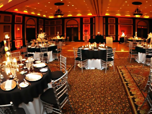 Golden Elegance - Image 2