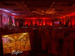 Golden Elegance - Image 5